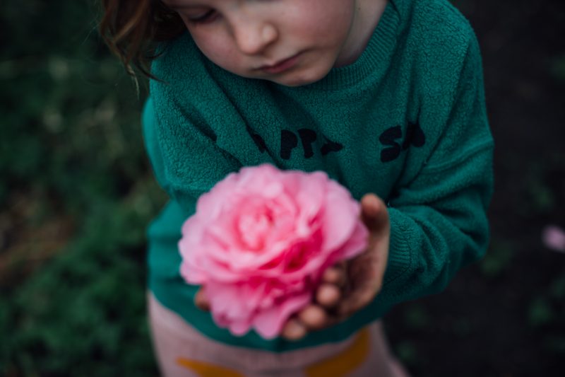 BOBO CHOSES THE HAPPYSADS BY POLLY ALDERTON