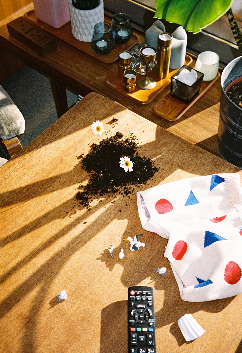 BOBO CHOSES TO MAKE A GARDEN LIVE