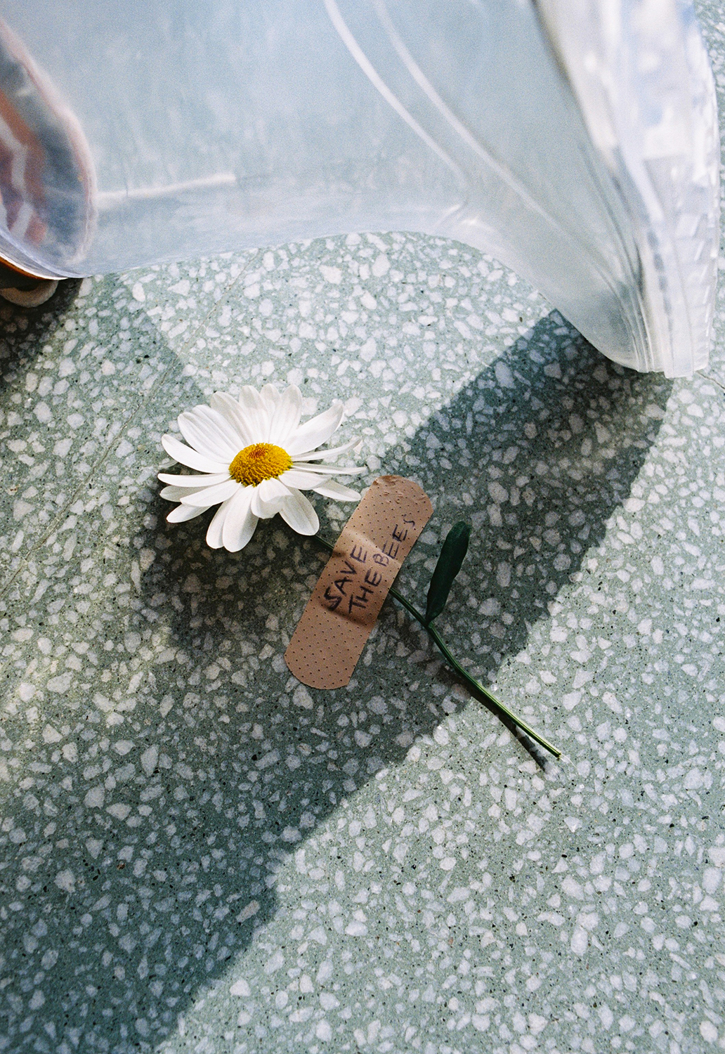 BOBO CHOSES TO MAKE A GARDEN LIVE