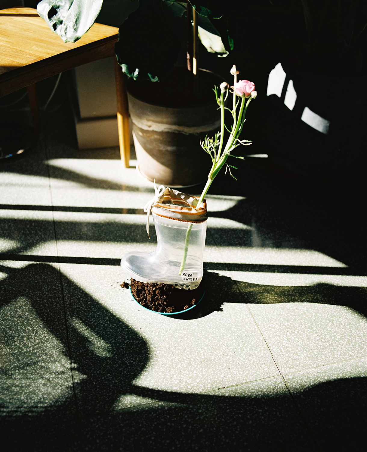 BOBO CHOSES TO MAKE A GARDEN LIVE