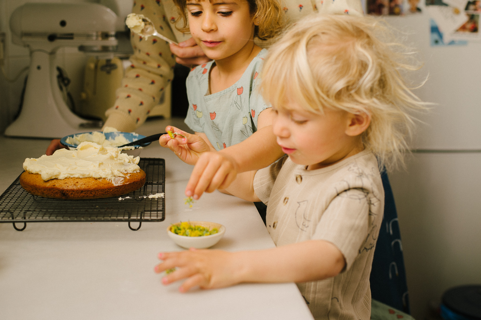 BOBO CHOSES THE HAPPYSADS RECIPE